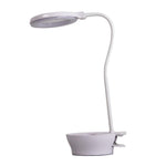 LED Task Light & Magnifier Desk Lamp